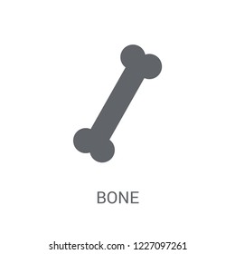 Bone icon. Trendy Bone logo concept on white background from Museum collection. Suitable for use on web apps, mobile apps and print media.