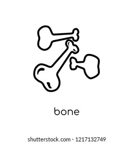 bone icon. Trendy modern flat linear vector bone icon on white background from thin line collection, outline vector illustration