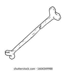 Bone icon. Vector illustration of a bone. Hand drawn human bones.