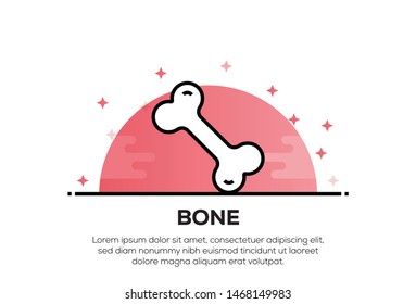 BONE AND ILLUSTRATION ICON CONCEPT