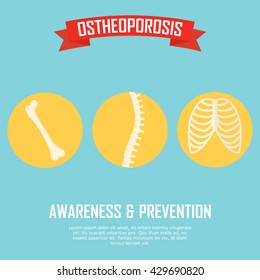 Bone illustration in vector