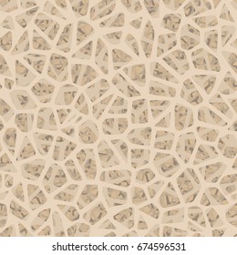 Bone Inside Structure Seamless Pattern. And Also Includes EPS 10 Vector