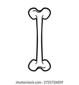 Bone isolated. Anatomical part of skeleton