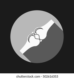 bone and joint human anatomical vector medical illustration.