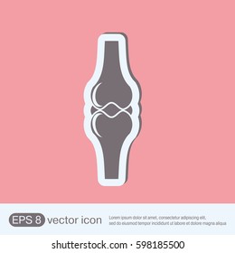 bone and joint human anatomical vector medical illustration.