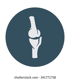 
Bone Joints Colored Vector Icon
