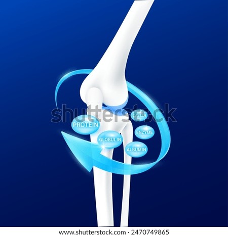 Bone knee joint cartilage surrounded by blue arrows Protein Enzyme Albumin Globulin and Casein. Healthy human skeleton anatomy isolated on dark background. Realistic 3D vector.