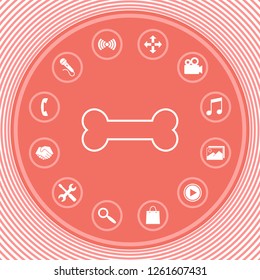 Bone line icon. Graphic elements for your design