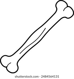 Bone Line Icon, Outline Symbol Vector Illustration
