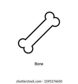 Bone linear icon vector on white background. Black icon illustration