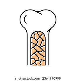 bone marrow color icon vector. bone marrow sign. isolated symbol illustration