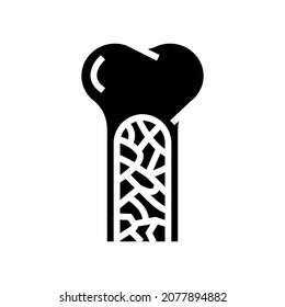 bone marrow glyph icon vector. bone marrow sign. isolated contour symbol black illustration