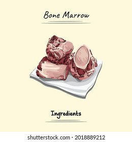 Bone Marrow Illustration Sketch And Vector Style. Good to use for restaurant menu, Food recipe book and food ingredients content.