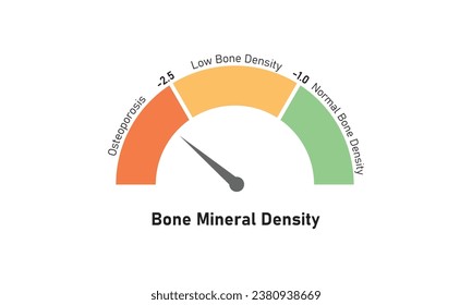 Bone Mineral Density Level Concept Design. Vector Illustration.	