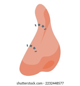 Bone nose surgery icon isometric vector. Rhinoplasty facelift. Doctor operation