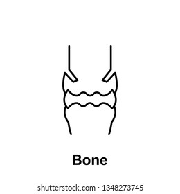 Bone, organ icon. Element of human organ icon. Thin line icon for website design and development, app development. Premium icon
