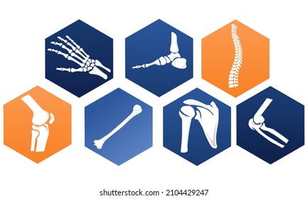 Bone set for Orthopedics traumatology with the anatomy of the bone.