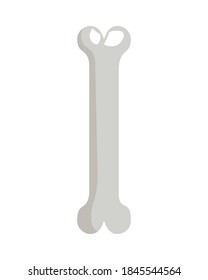 bone skeleton part isolated icon vector illustration design