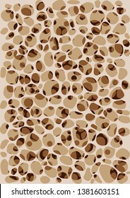 Bone spongy structure vector illustration, normal and with osteoporosis, Vector illustration useful for medical, circle