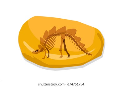 Bone of Stegosauras in  amber fossil, vector