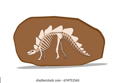 Bone of Stegosauras in  clay fossil, vector