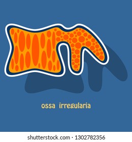Bone sticker icon. Single high quality outline symbol of human body for web design or mobile app.