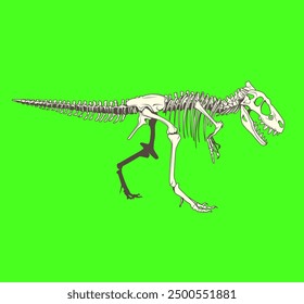 Bone T Rex Vector icon

T rex Bone, if u bored with white color u can changes the color already