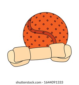 bone toy dog with ball isolated icon vector illustration design
