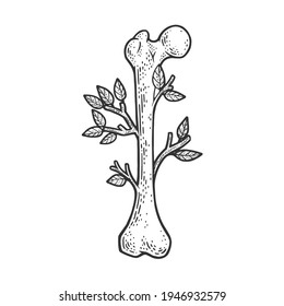 bone tree branch sketch engraving vector illustration. T-shirt apparel print design. Scratch board imitation. Black and white hand drawn image.