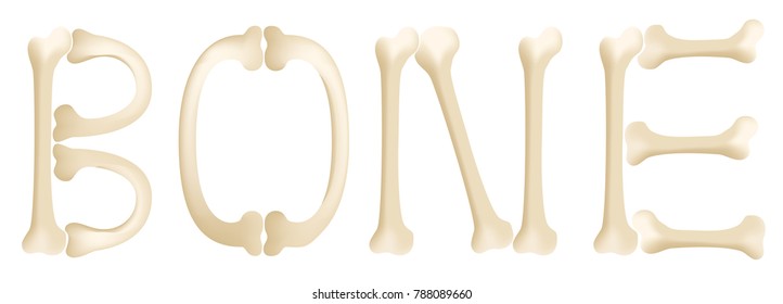 bone vector graphic