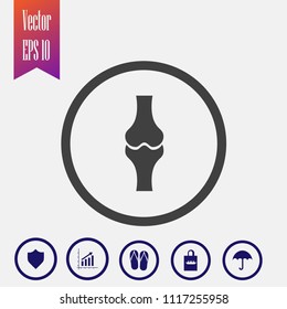 Bone vector icon