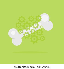  Bone vector illustration: Healthy bones
