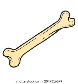 bone vector illustration,isolated on white background,top view