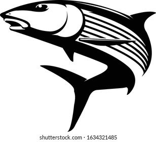 Bonefish Logo Template, Great For Bonefish Fishing Activity Especialized For Flyfishing Logo. 