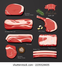 boneless pork. Cut of meat set. flat lay graphic idea. collection. Butcher shop meat products. Vector illustration 