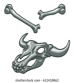 Bones