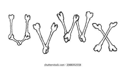 Bones alphabet. Vector illustration in cartoon style on white background. Set 6