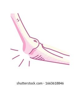 bones of the arm , body part on white background vector illustration design