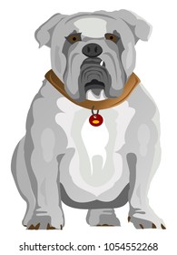 Bones the bulldog! A funny dog as a clip art.