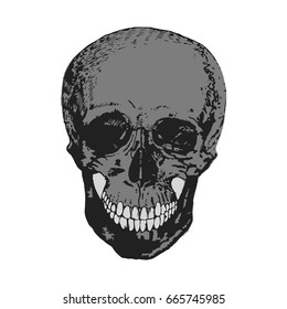 The bones of the cranium, the bones of the head, skull.