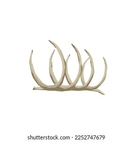Bones of dead animal. Spine and ribs. Desert and Wild West scenery. Flat cartoon illustration isolated on white