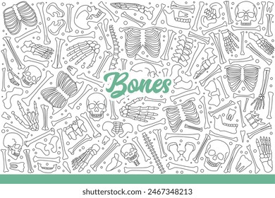 Bones of dead person or skeleton taken apart piece by piece to study anatomy and physiology. Skulls and bones to create spooky atmosphere at your halloween party. Hand drawn doodle