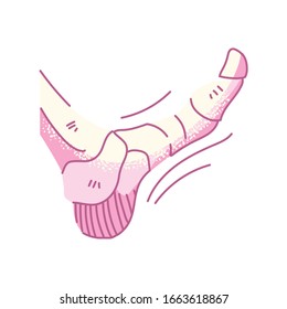 bones of the foot, body part on white background vector illustration design