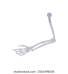 Bones, Halloween Vector Illustration, Isolated