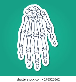 Bones of hand. Skeleton part. Sketch sticker vector element for medical or health care design