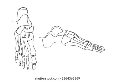 Bones of the human foot. Anatomical structure of the leg. Bone and Joint Action Week. One line drawing for different uses. Vector illustration.