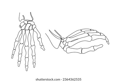 Bones of the human hand. Anatomical structure of the hand. Bone and Joint Action Week. One line drawing for different uses. Vector illustration.