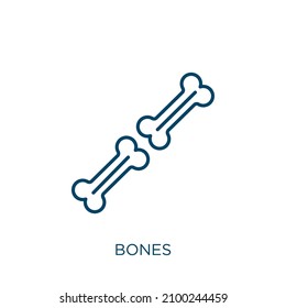 bones icon. Thin linear bones outline icon isolated on white background. Line vector bones sign, symbol for web and mobile