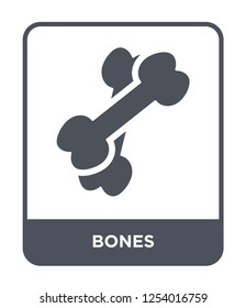 bones icon vector on white background, bones trendy filled icons from History collection, bones simple element illustration