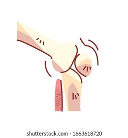 bones of the knee, body part on white background vector illustration design